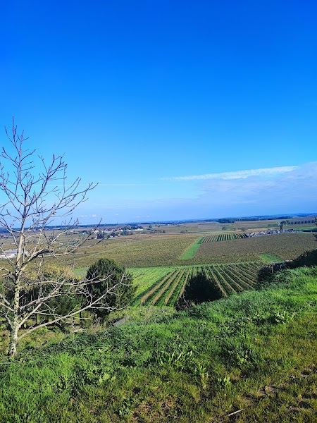 Activité team building Château de Bouteville  à Bouteville pour événements professionnels