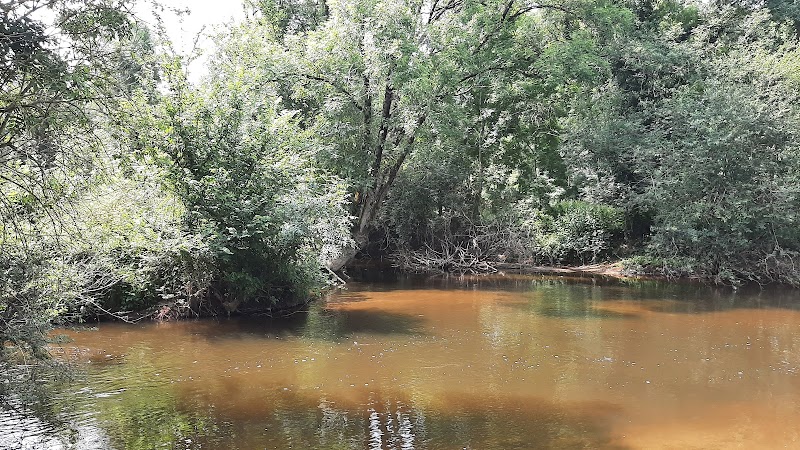 Activité team building Gué romain de Vilhonneur  à Moulins-sur-tardoire pour événements professionnels