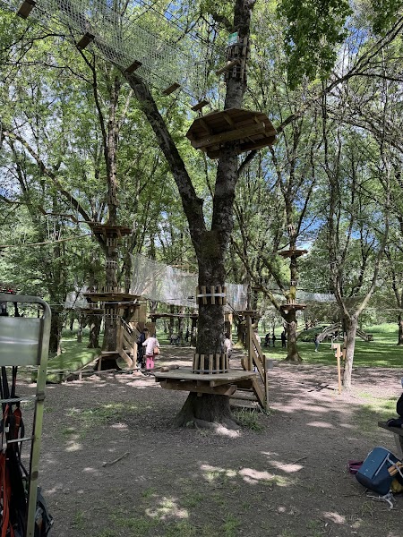 Activité team building Accro parc de soyaux  à 06 81 46 33 49 pour événements professionnels