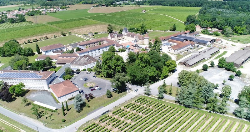 Activité team building Château de l'Oisellerie  à La couronne pour événements professionnels et séminaires