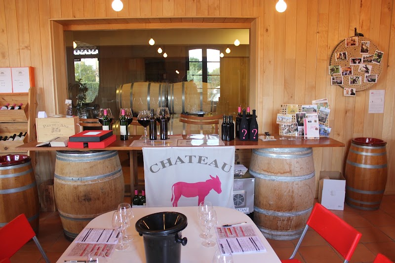 Activité team building Oenanim  à Saint-loubès pour événements professionnels