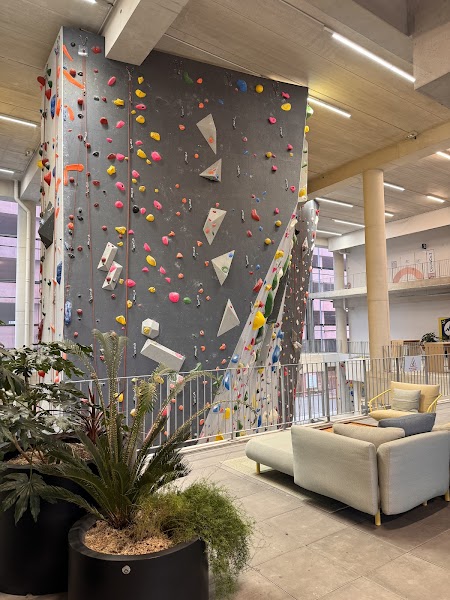 Activité team building UCPA Sport Station Bordeaux  à Bordeaux pour événements professionnels et séminaires