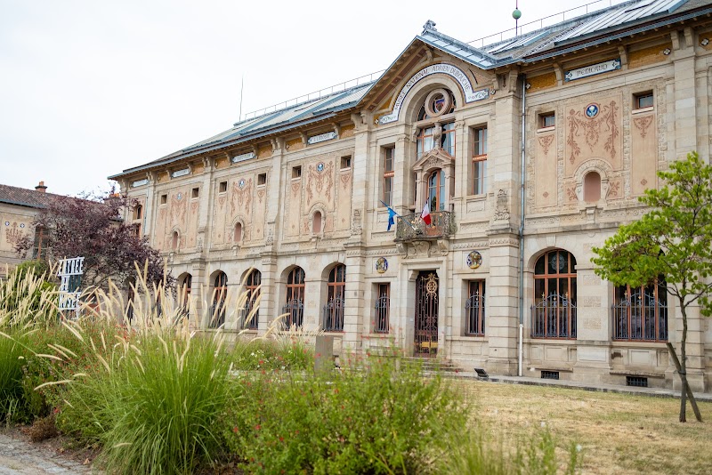 Activité team building Musée Adrien Dubouché  à Limoges pour événements professionnels