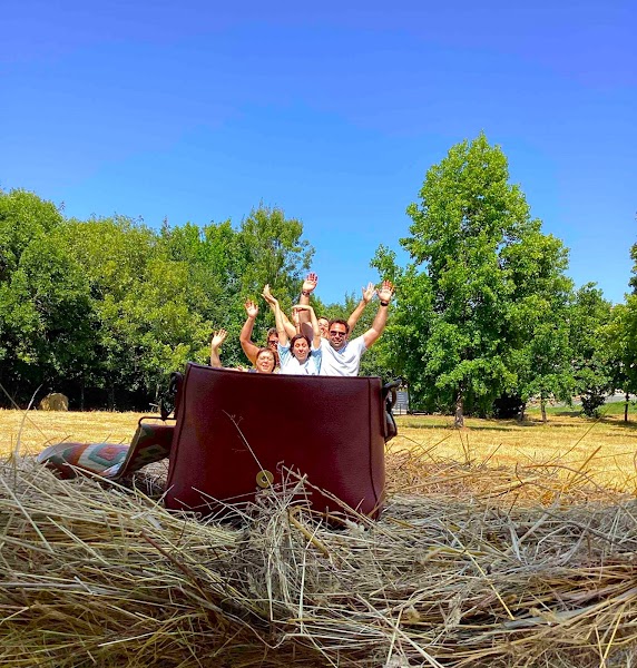 Activité team building Dotmap - Team building Marseille et région PACA  à Marseille pour événements professionnels