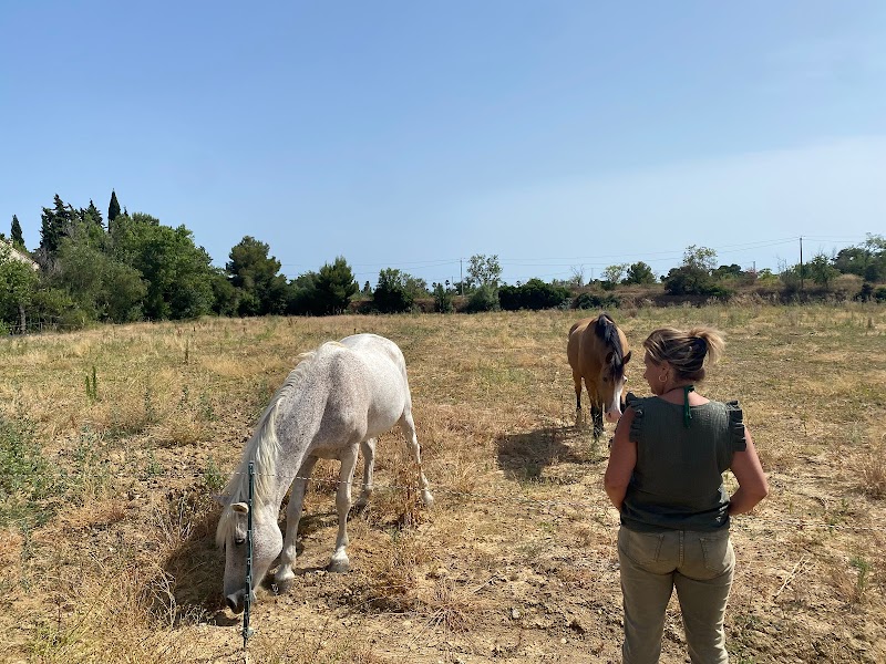 Activité team building Copenteam - Séminaire - Team Building - Formations - Workshops  à Lattes pour événements professionnels