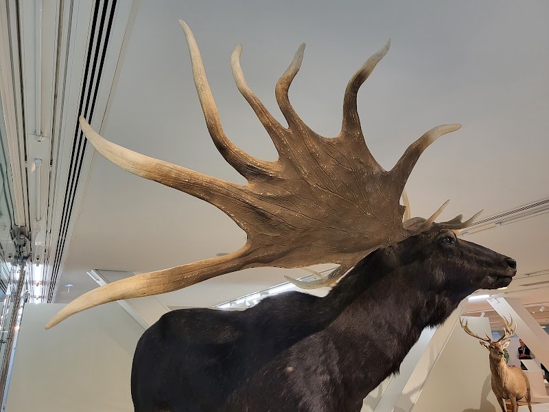 Salle de séminaire Villa Méditerranée  à Marseille pour événements professionnels