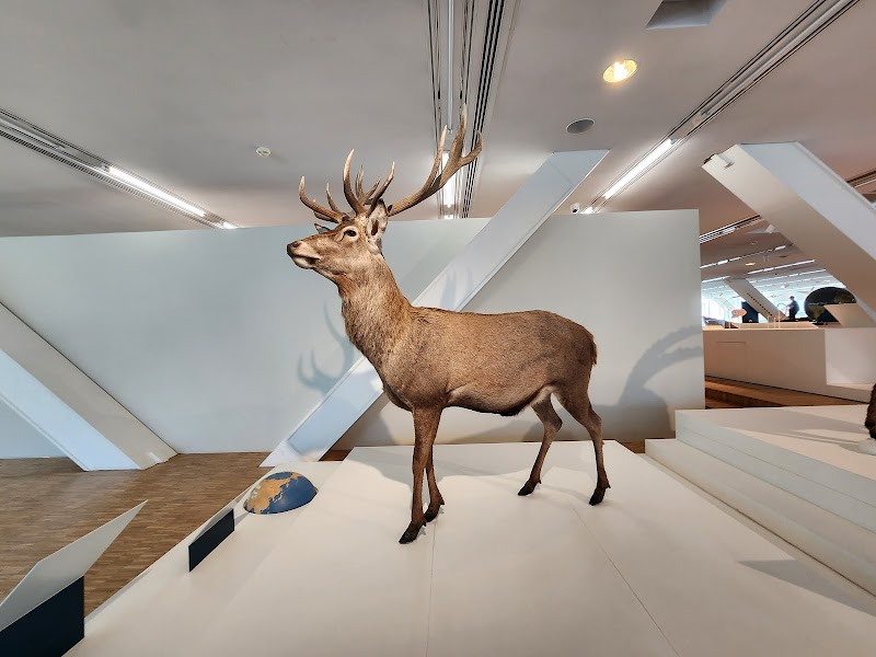 Salle de séminaire Villa Méditerranée  à Marseille pour événements professionnels