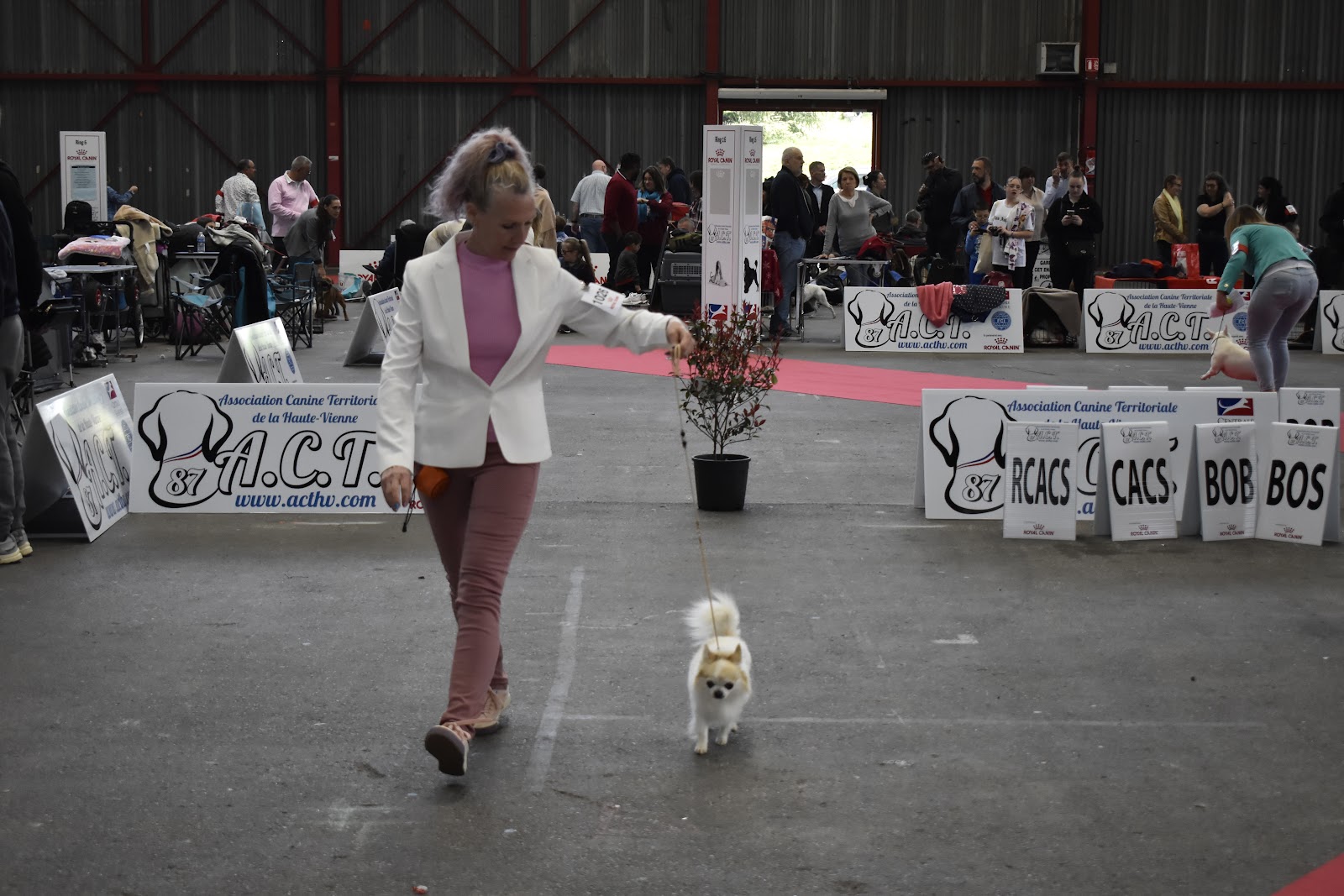 Salle de séminaire Parc des expositions  à Limoges pour événements professionnels et séminaires