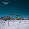 Little Man by The Pineapple Thief