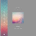 before by CALM