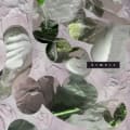 Mango EP by Need for Mirrors