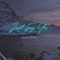 Just Say Yes by The Northern Lights
