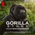 A Gorilla Story: Told by David Attenborough by Patrick Jonsson