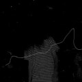 Banshee by BONES