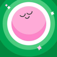 BEDSPACER