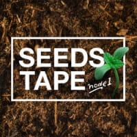 7SEEDS