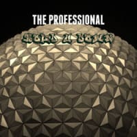 proFESSional