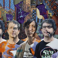 Animal Collective