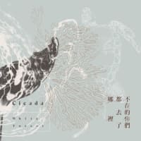 Cicada