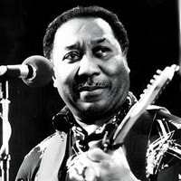 Muddy Waters