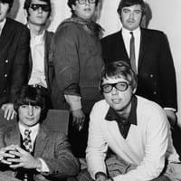The Turtles