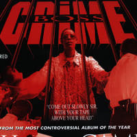 Crime Boss