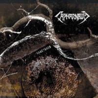 Capernaum