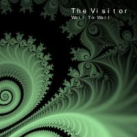 The Visitor