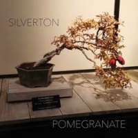 silverton
