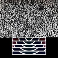 Invisible City