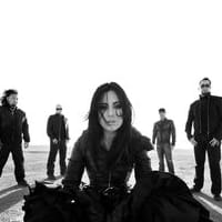 We Are the Fallen