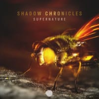 Shadow Chronicles