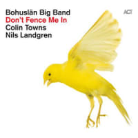 Colin Towns