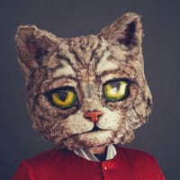 Kool Kat