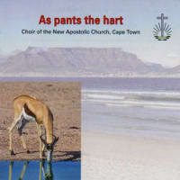 Cape Town