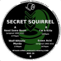 Secret Squirrel