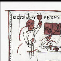 Biography of Ferns