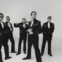 The Hives