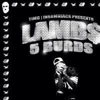 Lambs