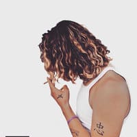 Pelo
