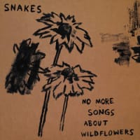 Snakes