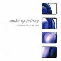 Woke Up Falling