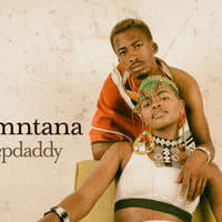 StepDaddy