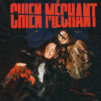 Chien Méchant