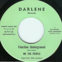 We the People