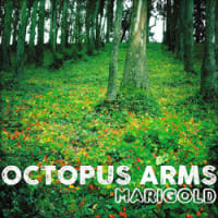 Octopus Arms
