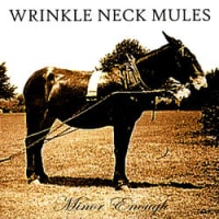 Wrinkle