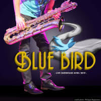 Bluebird