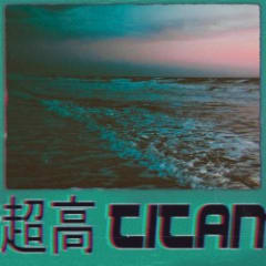 Prelude to Palm City 3