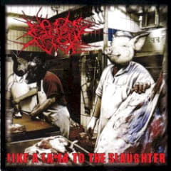 Like a Lamb to the Slaughter